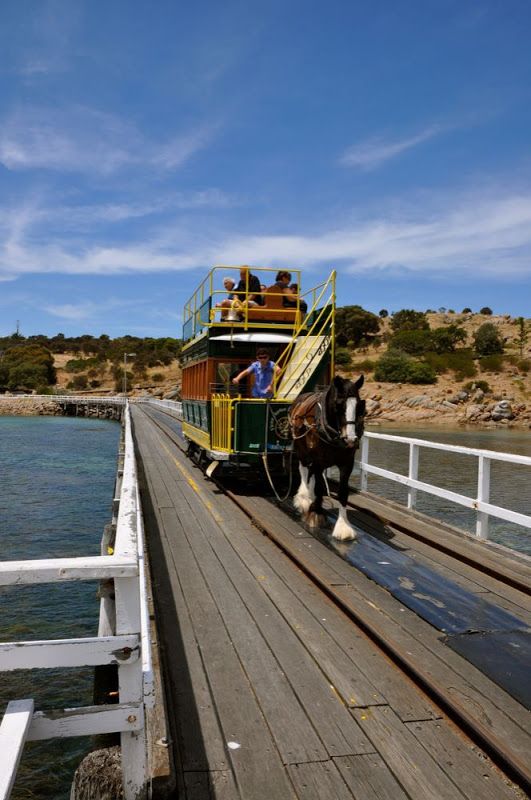 Granite Island Victor Harbor causeway horse tram